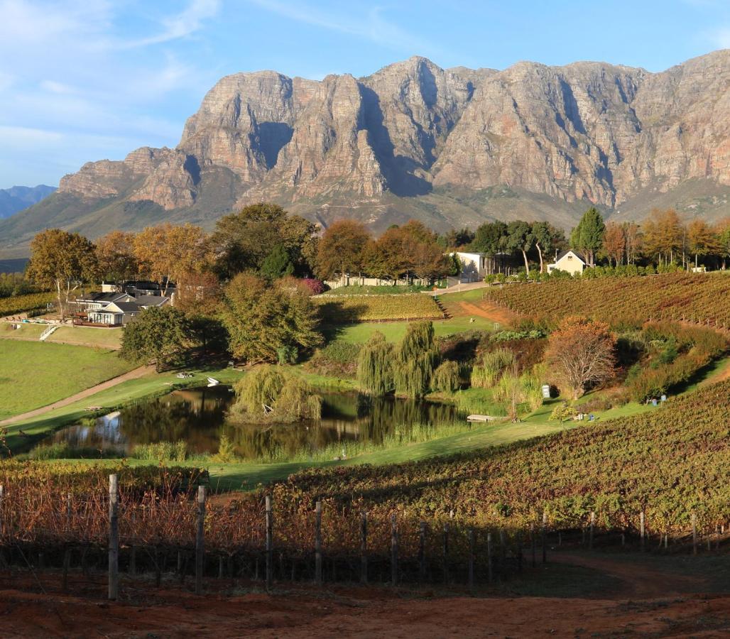 Alluvia Boutique Winery & Luxury Accommodation Stellenbosch Exterior foto The Paarl Mountain Range