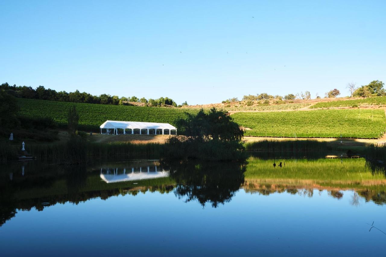 Alluvia Boutique Winery & Luxury Accommodation Stellenbosch Exterior foto The vineyard at the winery