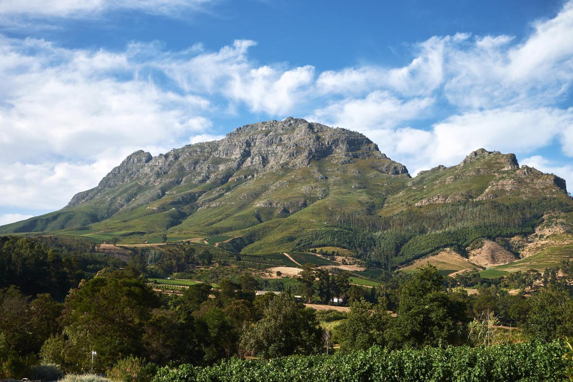Alluvia Boutique Winery & Luxury Accommodation Stellenbosch Cameră foto The Helderberg
