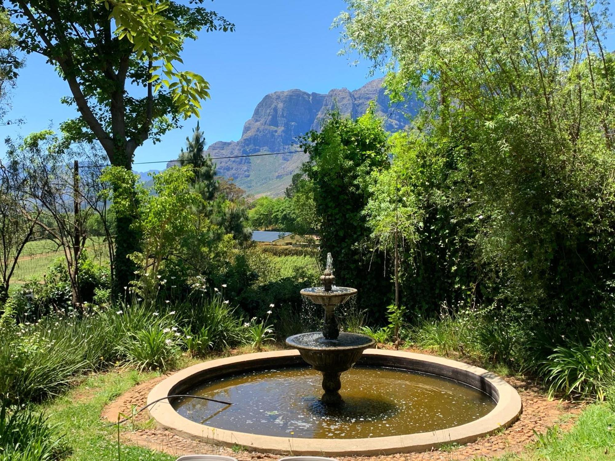 Alluvia Boutique Winery & Luxury Accommodation Stellenbosch Cameră foto Fountain at the entrance of the Tokai Arboretum